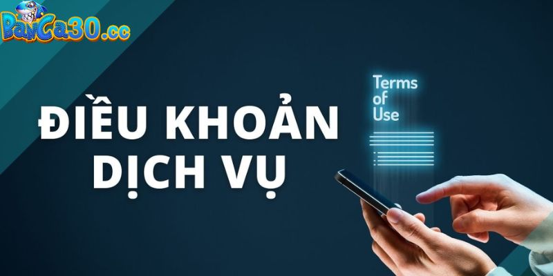 Những lý do mà quan trọng về điều khoản dịch vụ banca30