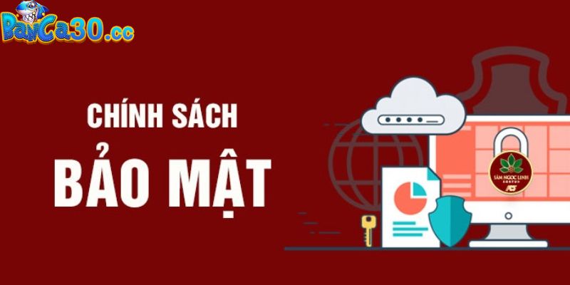 Sơ lược thông tin về chính sách bảo mật banca30